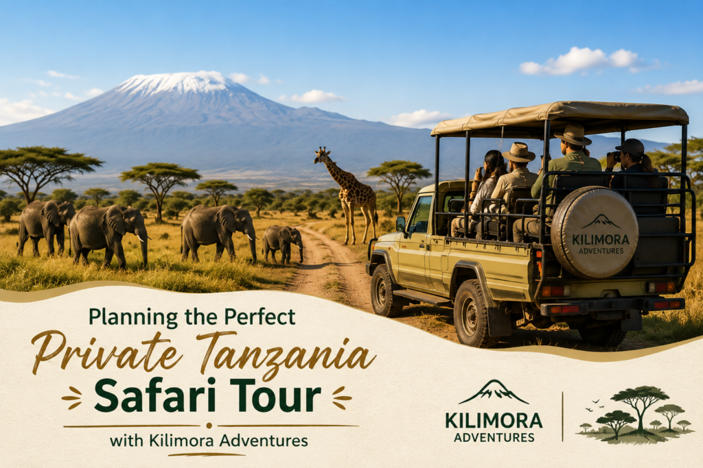 Perfect Private Tanzania Safari Tour
