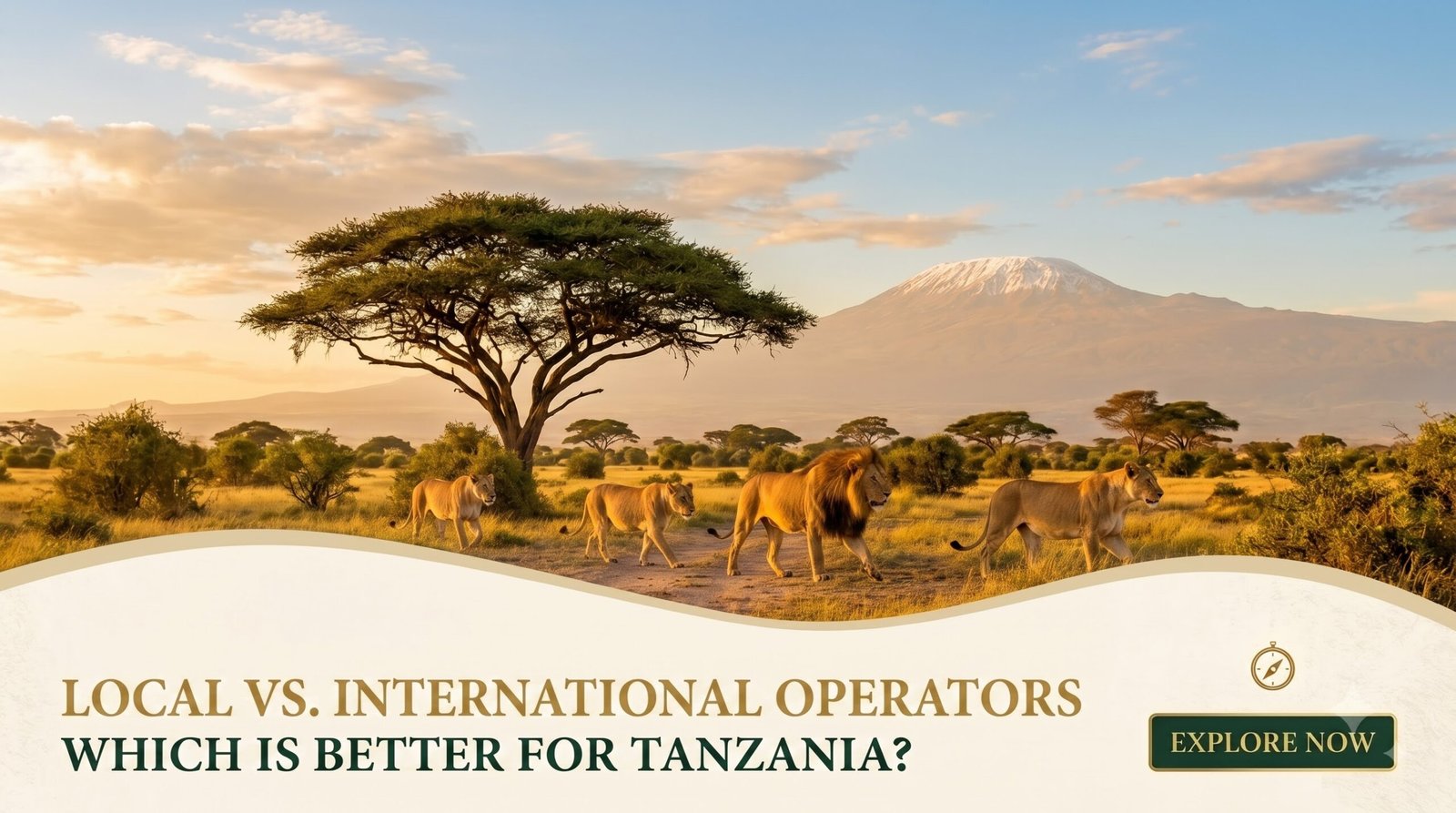 Local vs. International Safari Operators