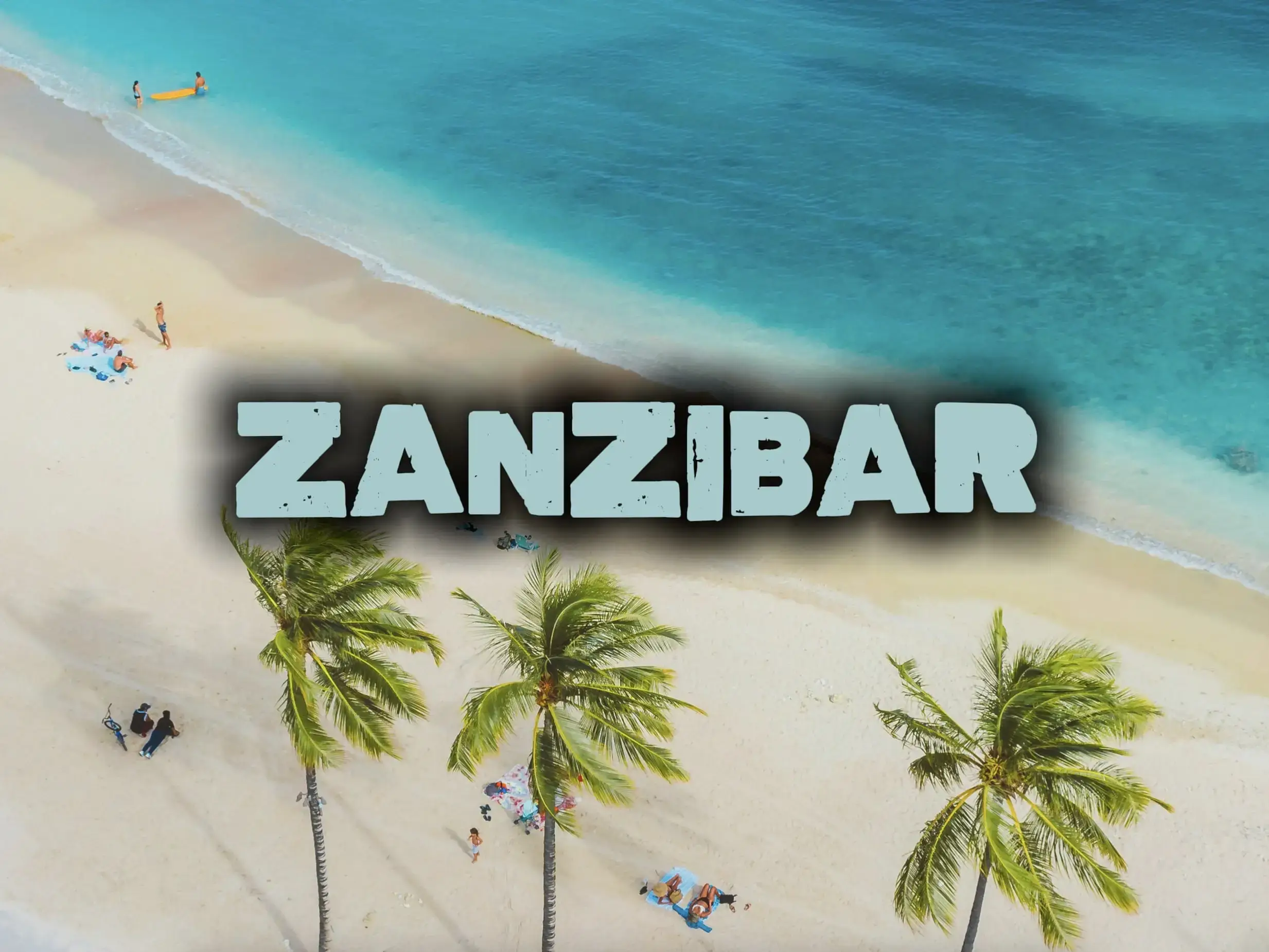 Zanzibar safari and beach holiday scene combining ocean and savannah