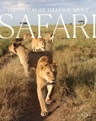 Tourists watching wildlife from a safari jeep in Tanzania at sunset